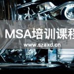 MSA培训