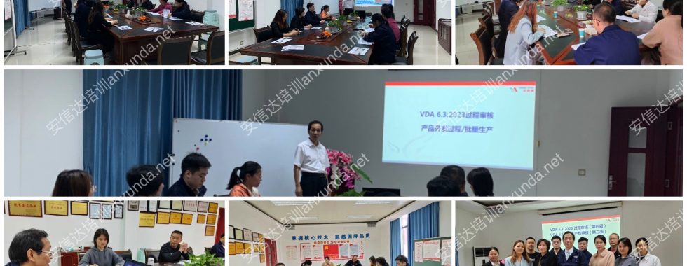 雪弗特VDA6.3培训