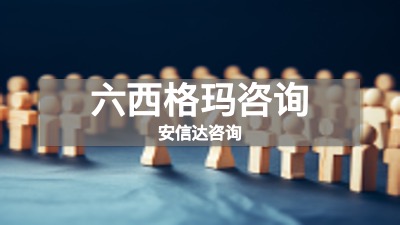 六西格玛咨询服务