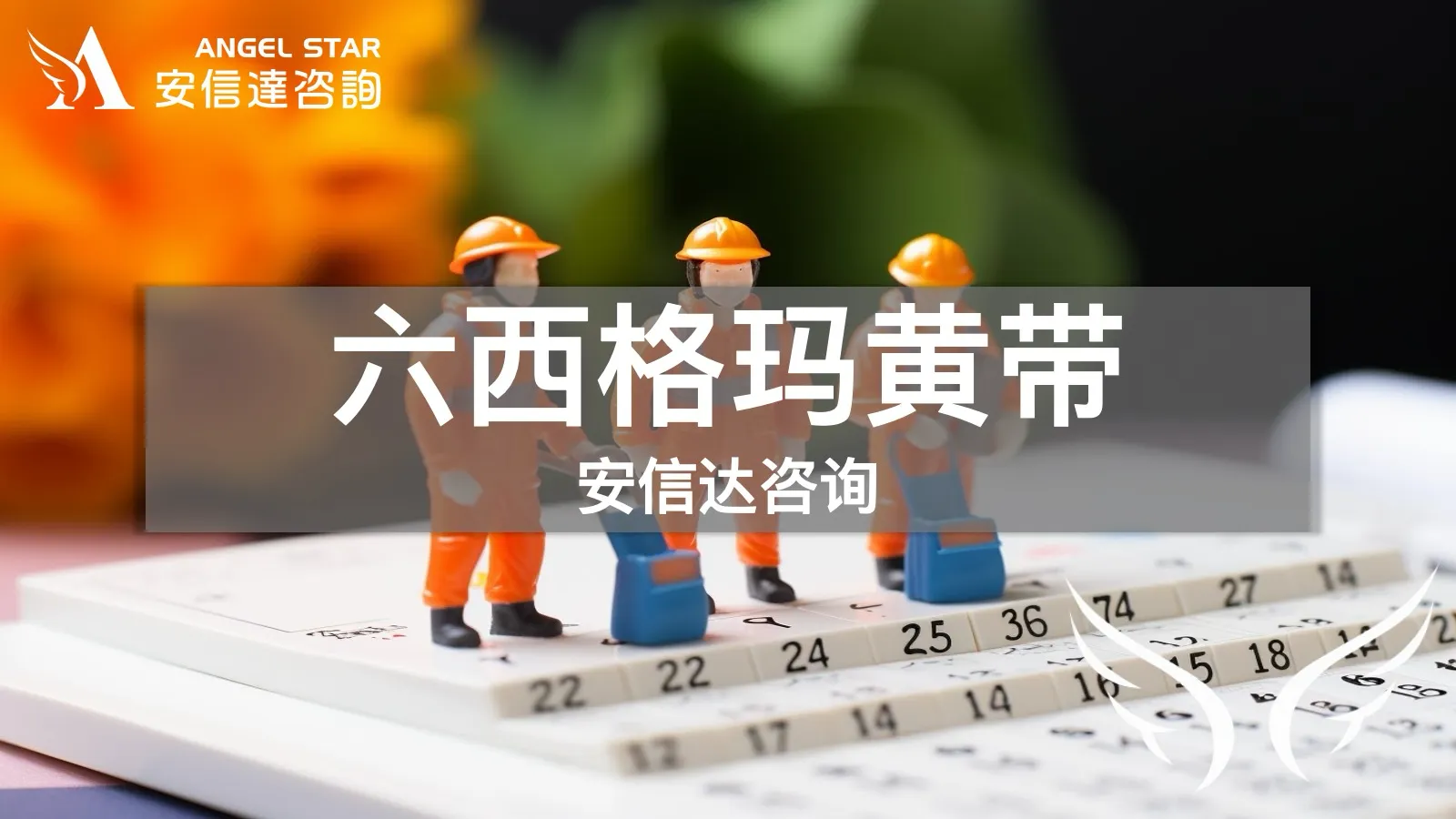 五大工具培训现场